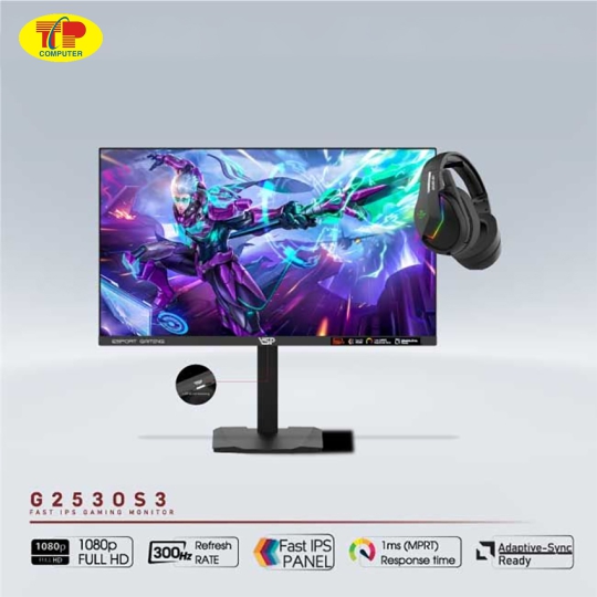 Màn hình VSP G2530S3 (24.5 inch/FHD/Fast IPS/300Hz/1ms) 
